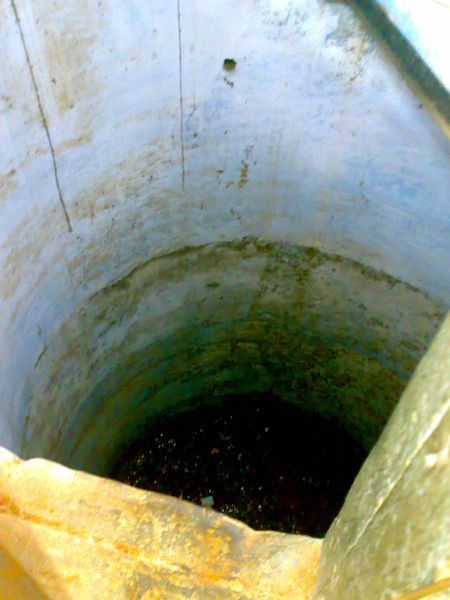 The Martyr's well at Jallianwala Bagh